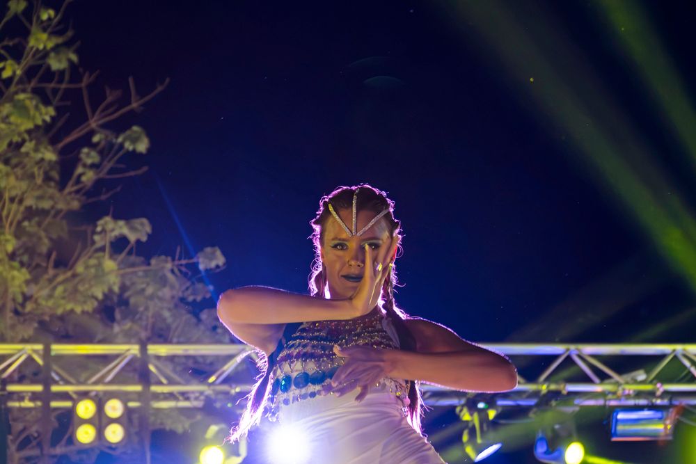 Royal Wings Hotel - 86