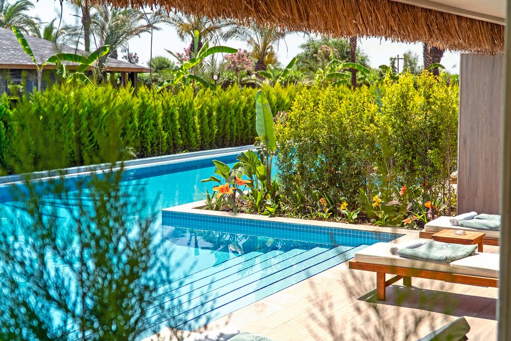 Картинка отеля - 75