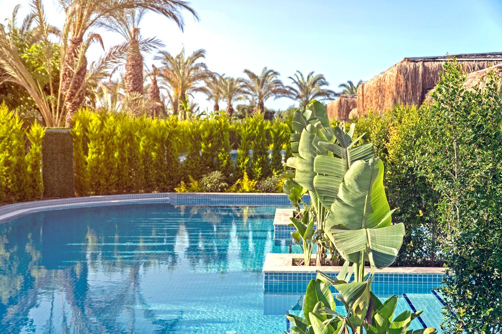 Картинка отеля - 74