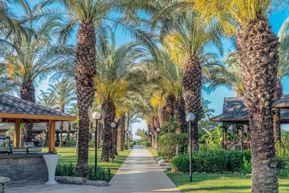 Картинка отеля - 48