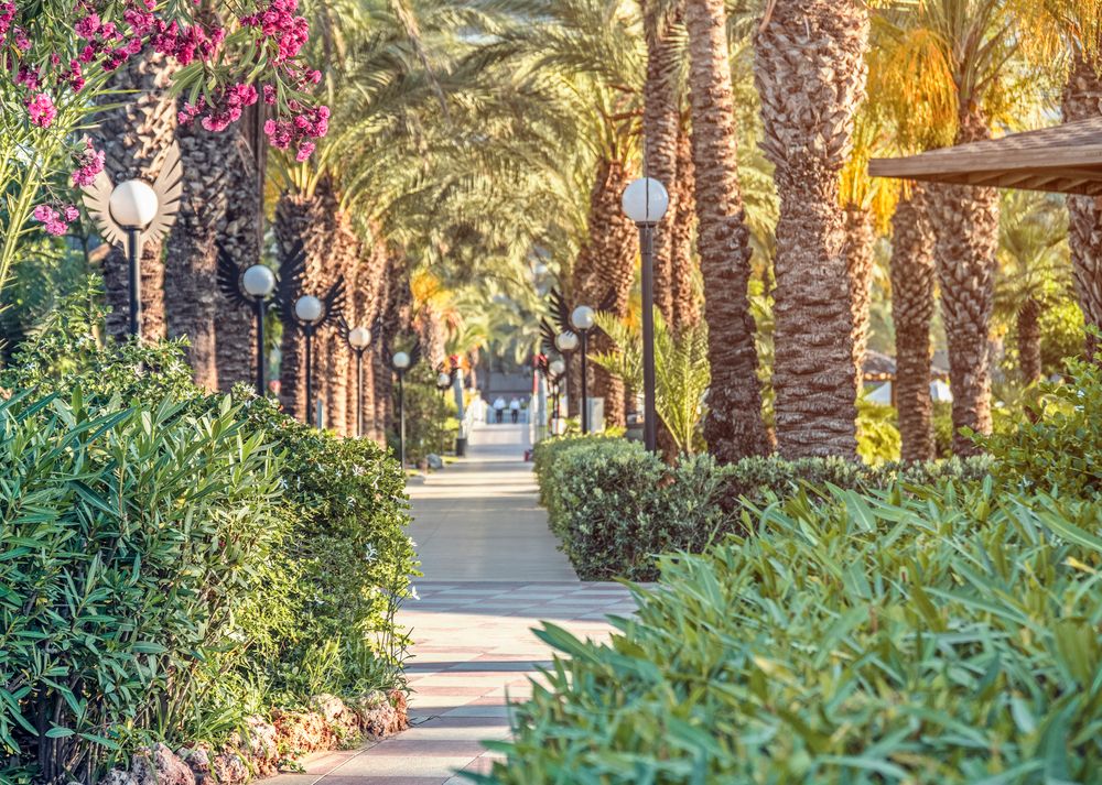 Royal Wings Hotel - 9