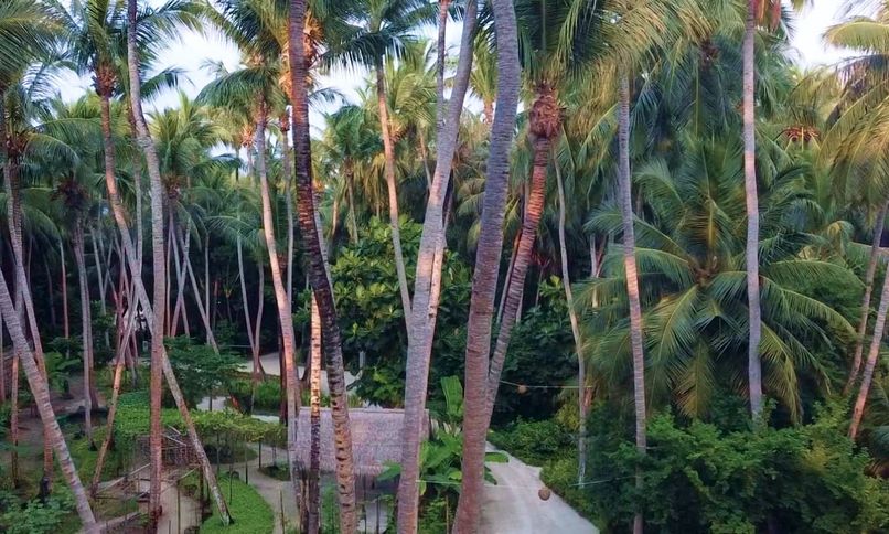 AMILLA MALDIVES RESORT AND RESIDENCE - 2