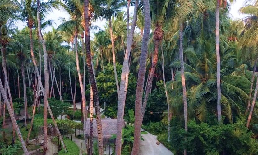 AMILLA MALDIVES RESORT AND RESIDENCE - 2