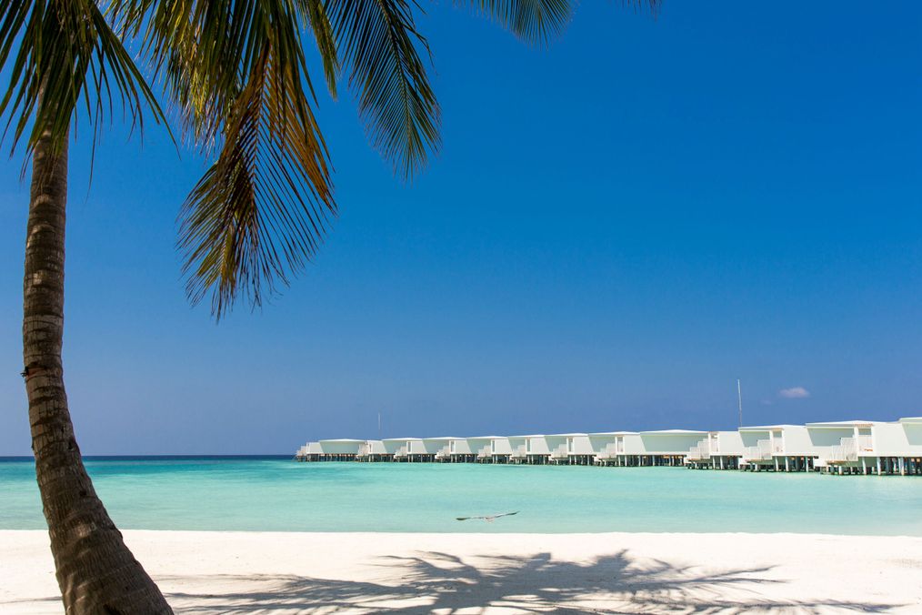 Картинка отеля - 22