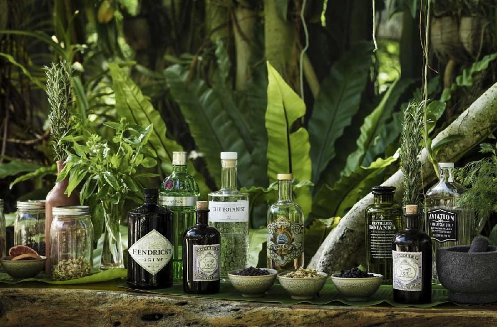 ONE&ONLY REETHI RAH - 46