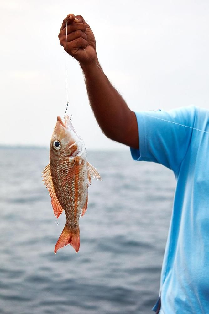 ONE&ONLY REETHI RAH - 61