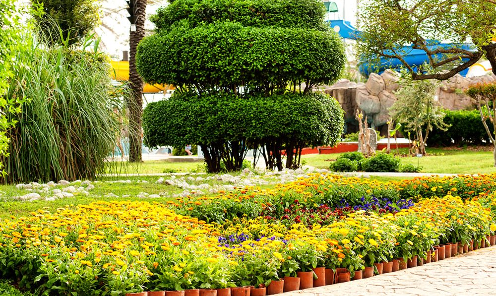 Belconti Resort Hotel - 26