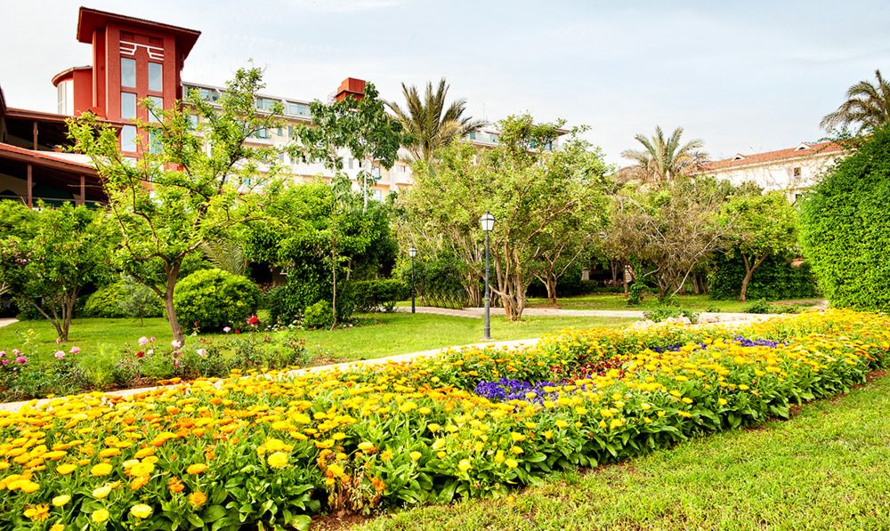 Belconti Resort Hotel - 12