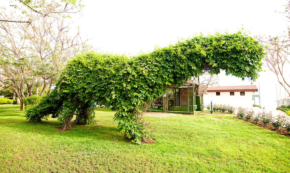 Картинка отеля - 11