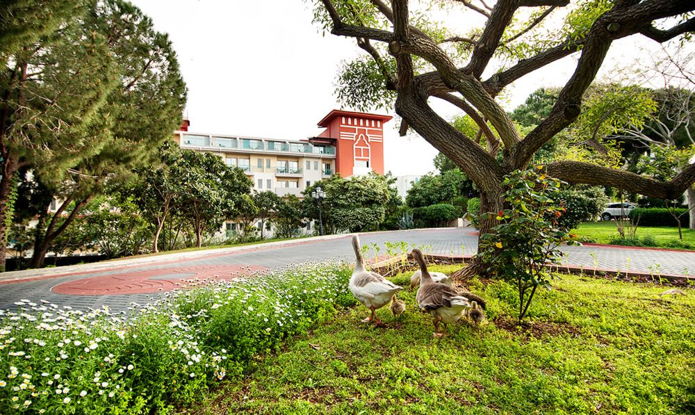 Belconti Resort Hotel - 10