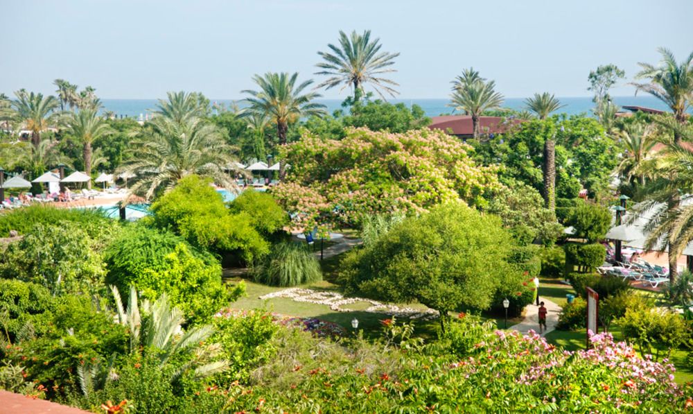 Belconti Resort Hotel - 24