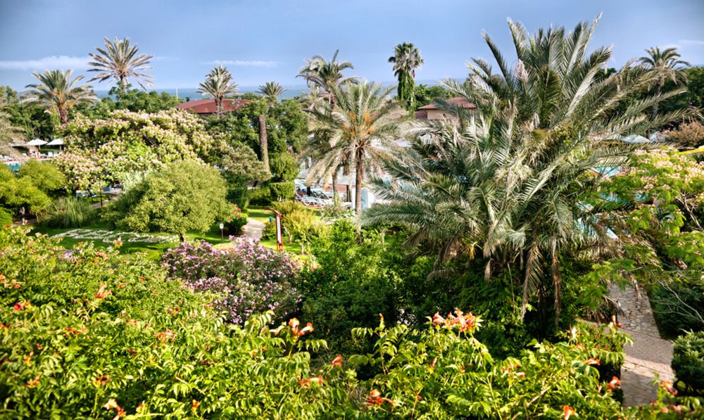 Belconti Resort Hotel - 23