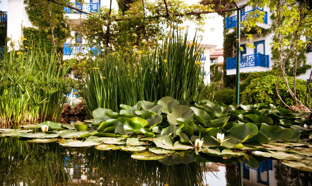 Belconti Resort Hotel - 19