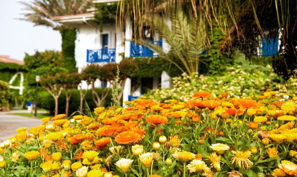 Картинка отеля - 18