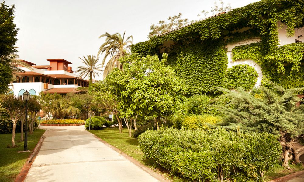 Belconti Resort Hotel - 14