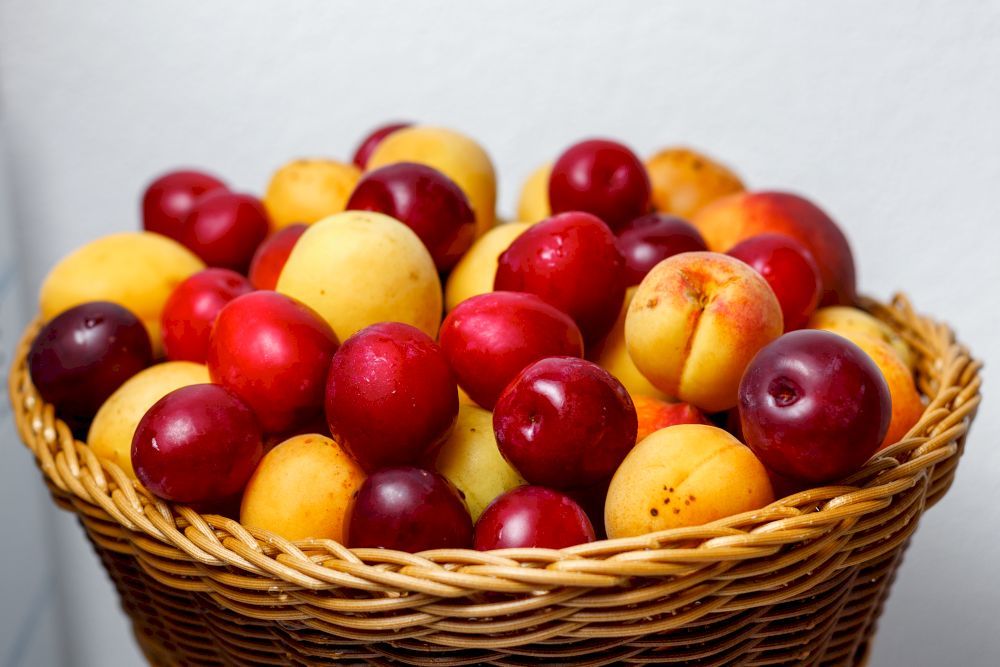 Картинка отеля - 19