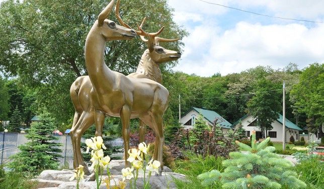 Картинка отеля - 10