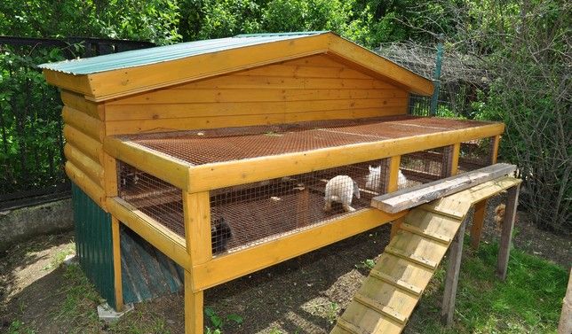 Картинка отеля - 12