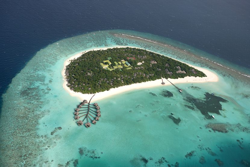 COCO PALM DHUNI KOLHU - MALDIVES - 1