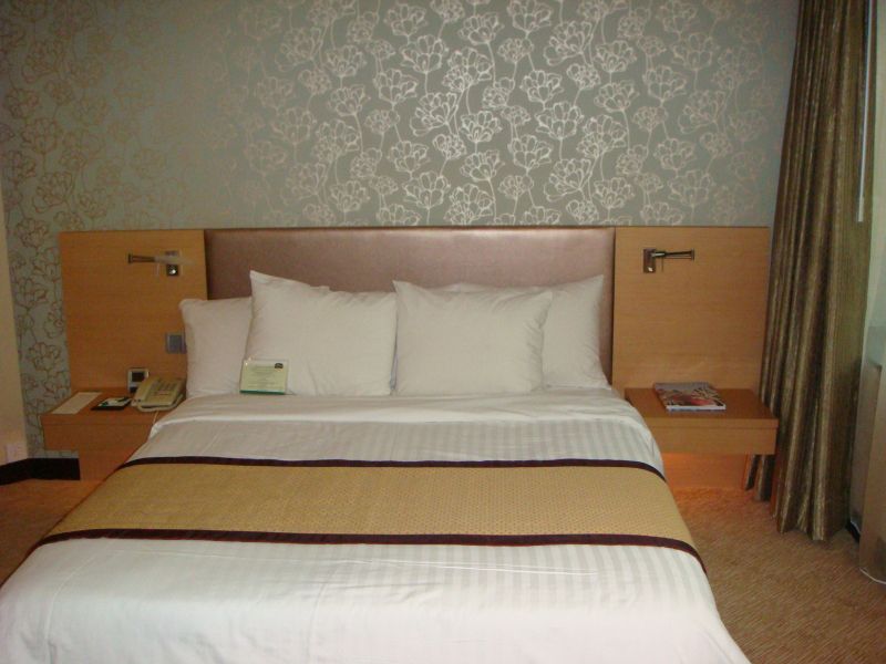 BEIJING PENTA (ex. BEIJING CHONGWENMEN TONGPAI HOTEL) (北京新世界中心同派酒店) - 1