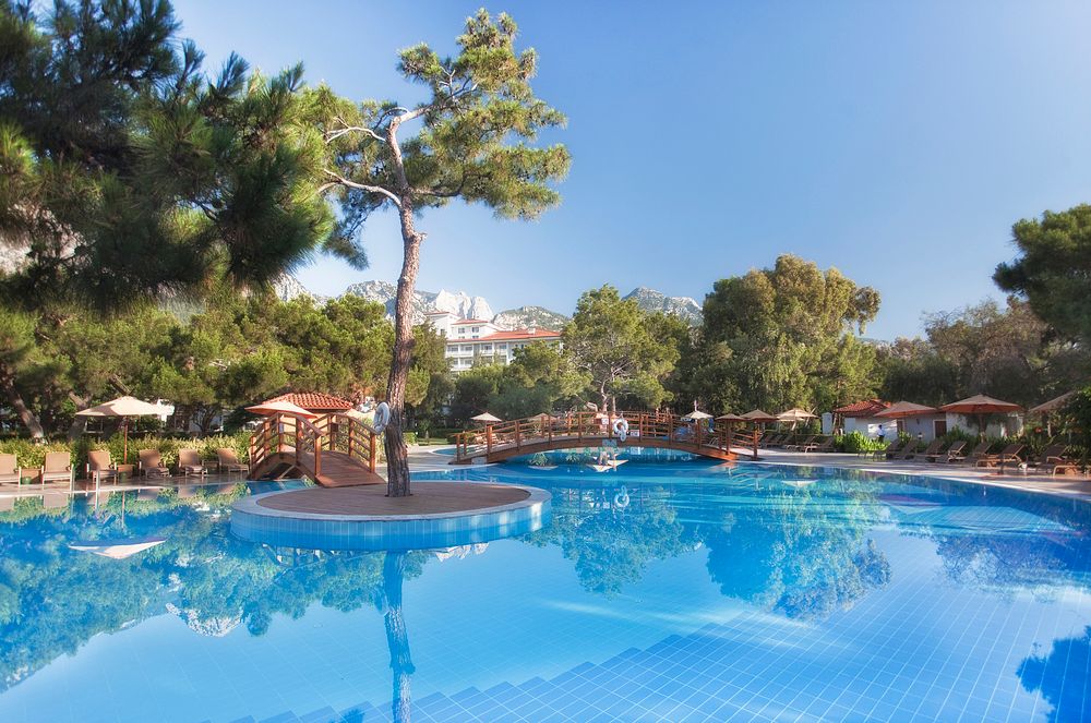 Картинка отеля - 10