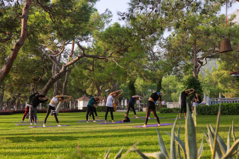 Картинка отеля - 16