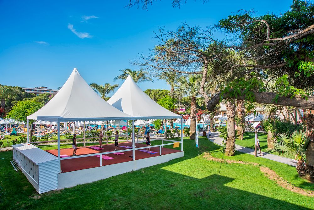 Картинка отеля - 41