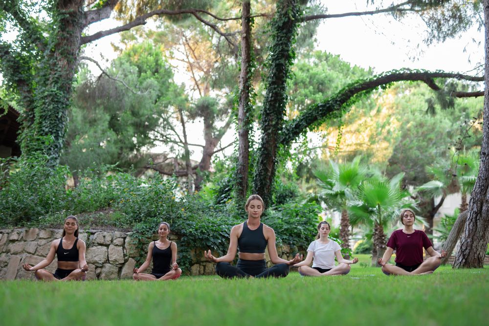 Картинка отеля - 54