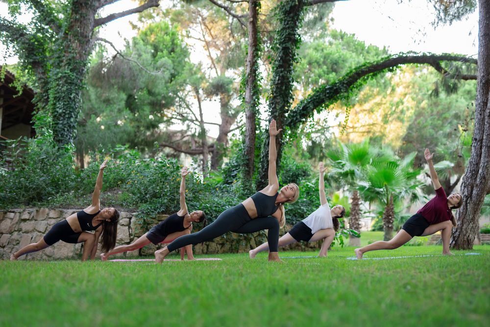 Картинка отеля - 53