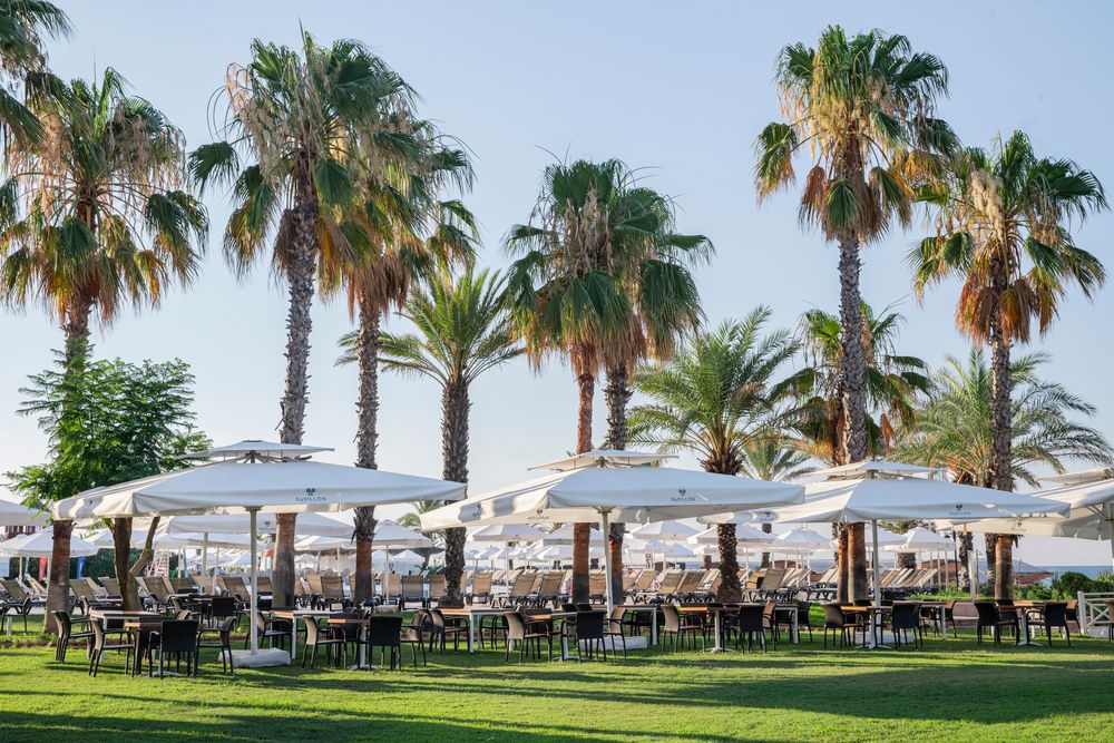 Картинка отеля - 26