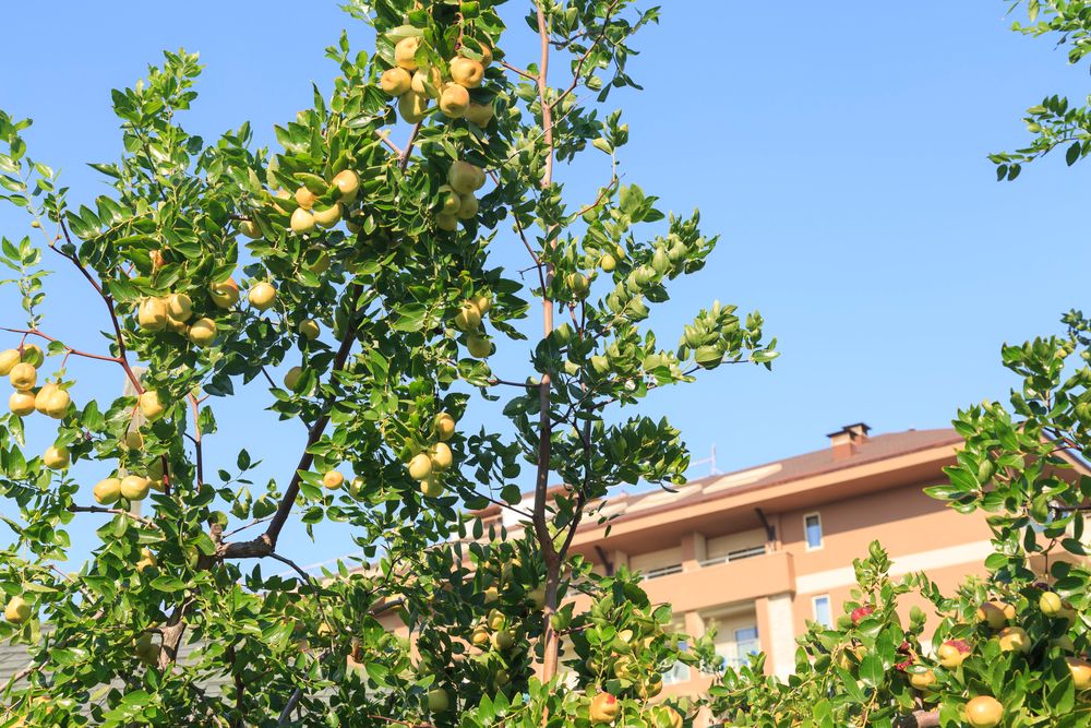 Sunis Kumkoy Beach Resort Hotel & Spa - 37