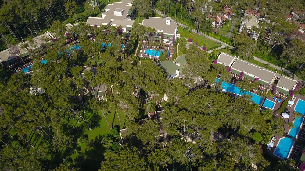 Turquoise Hotel - 120