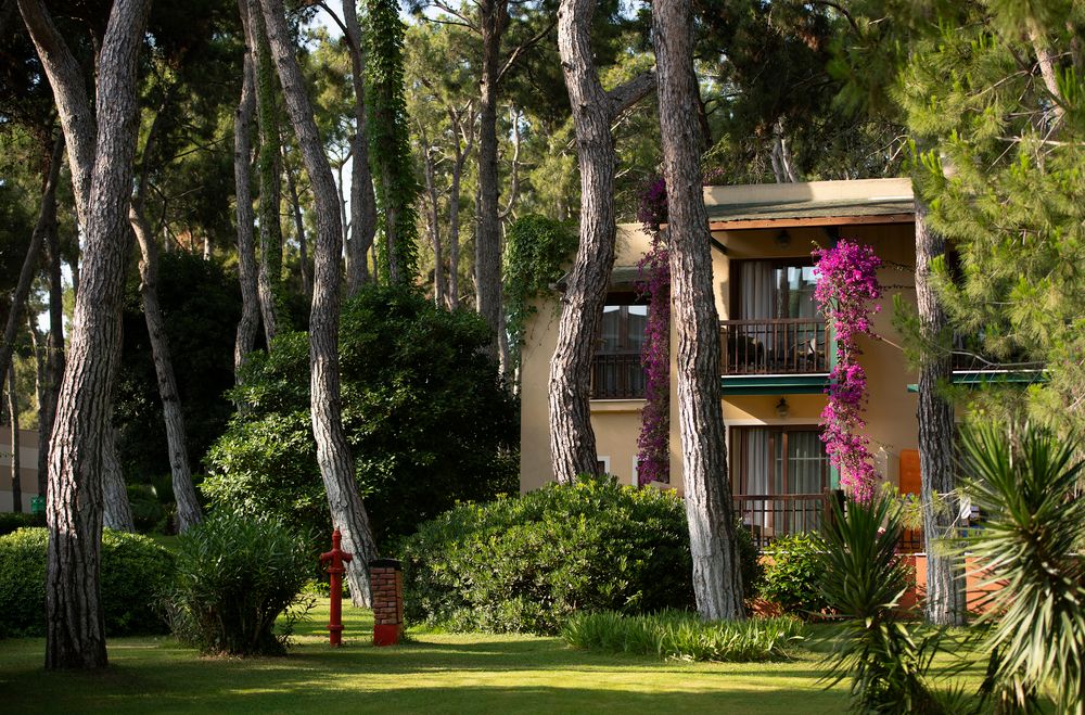 Turquoise Hotel - 95