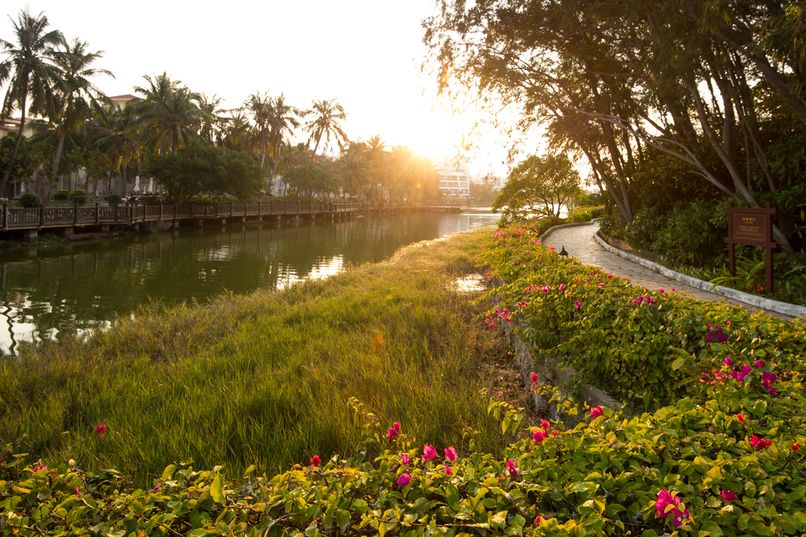 GOLDEN PALM RESORT HOTEL - 5