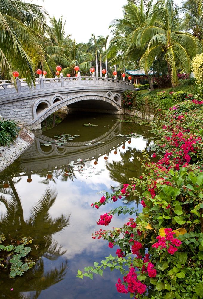 Картинка отеля - 25