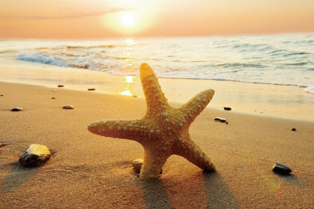 SWISSOTEL&GRAND MERCURE SANYA YALONG BAY (ex. SWISSOTEL SANYA YALONG BAY) - 37