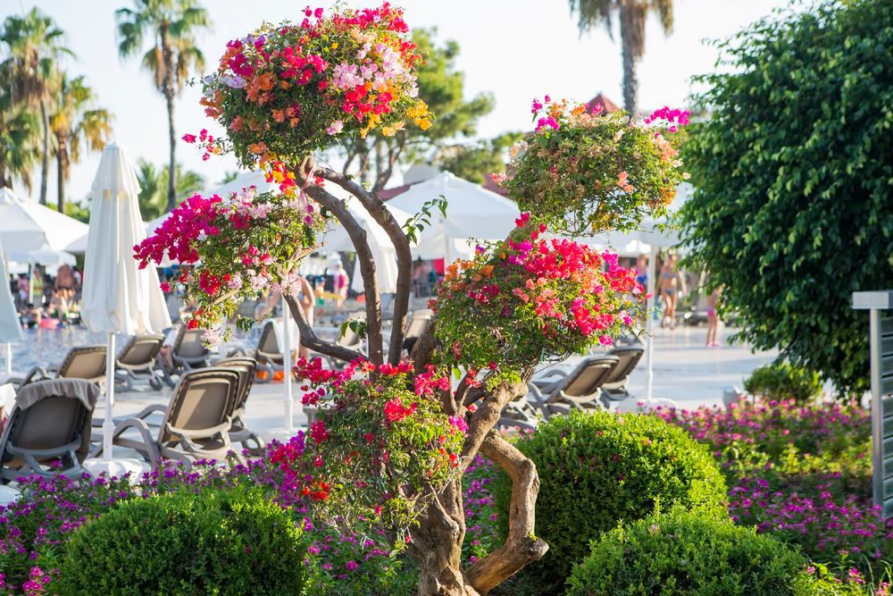 Картинка отеля - 13