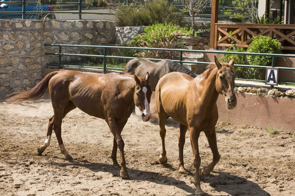 Картинка отеля - 79