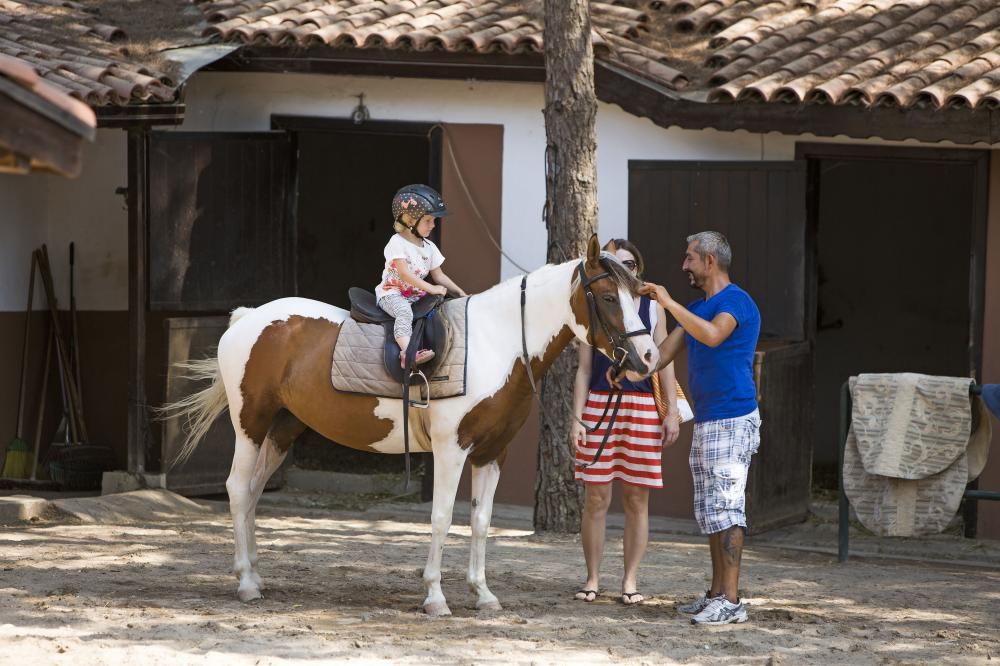 Bellis Deluxe Hotel - 80