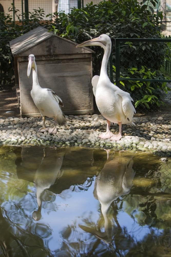 Картинка отеля - 77