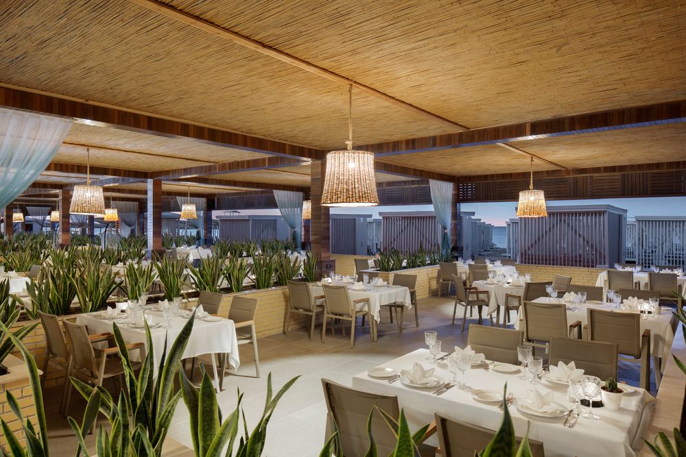 Nirvana Cosmopolitan - 34