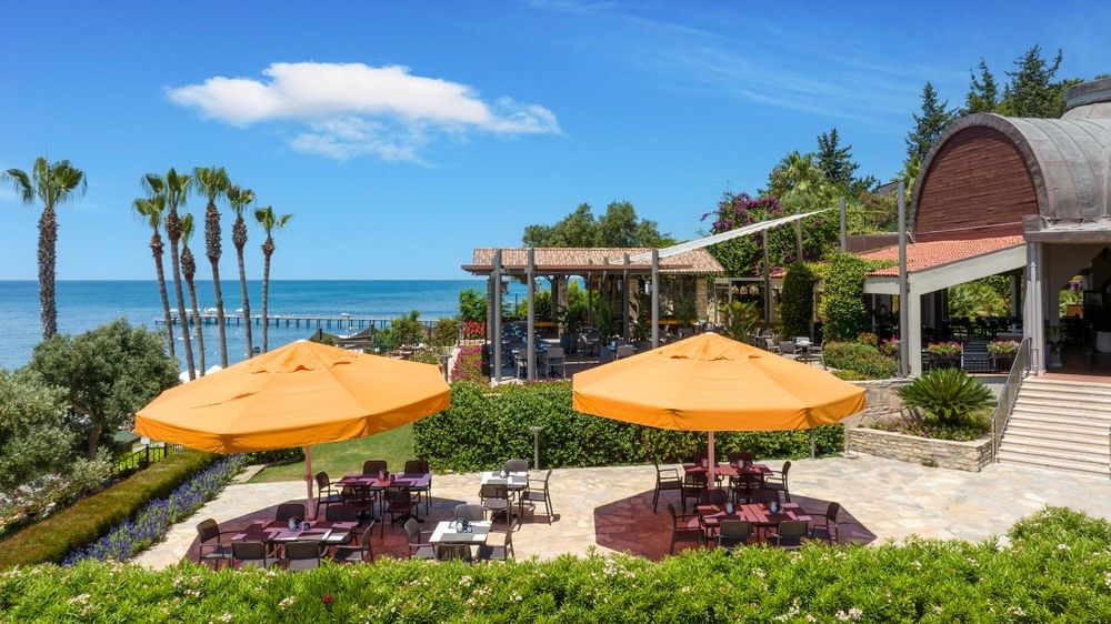 Arum Barut Collection - 50