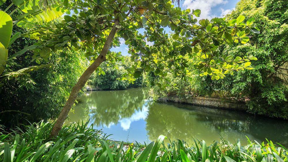 YALONG BAY VILLA & SPA - 17