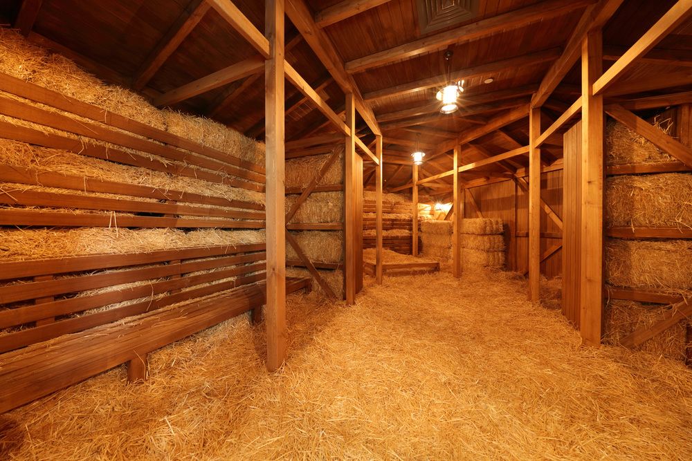 Картинка отеля - 104