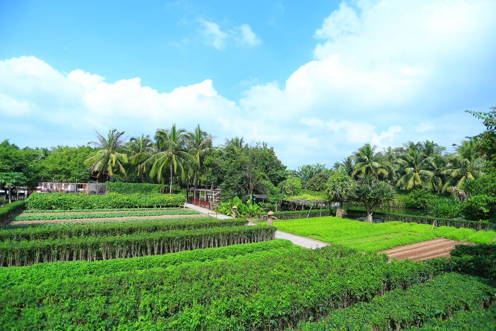 Картинка отеля - 4