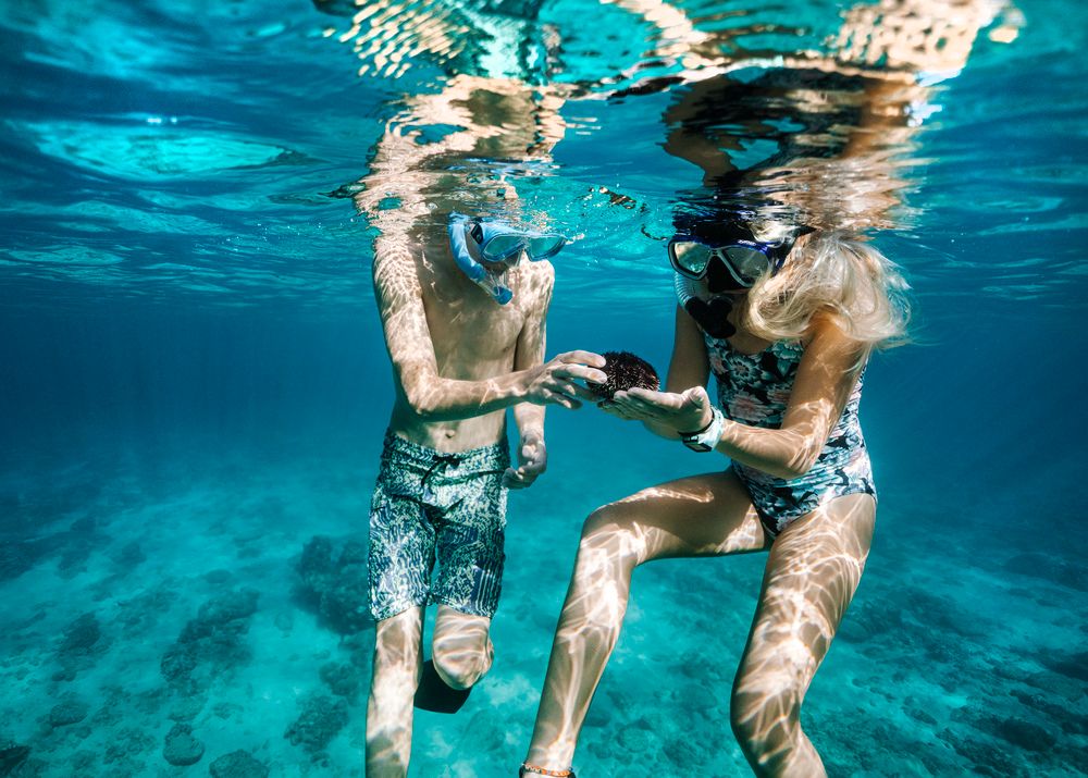 Картинка отеля - 66