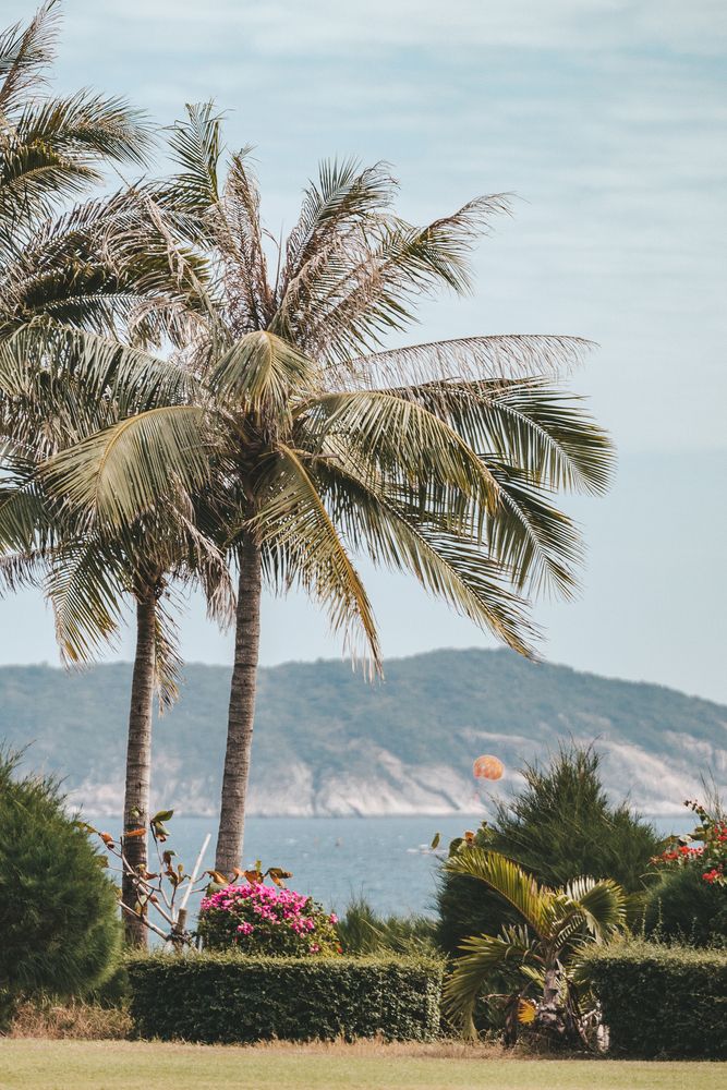 THE ST. REGIS SANYA YALONG BAY RESORT - 48