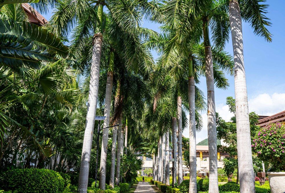 THE ST. REGIS SANYA YALONG BAY RESORT - 50