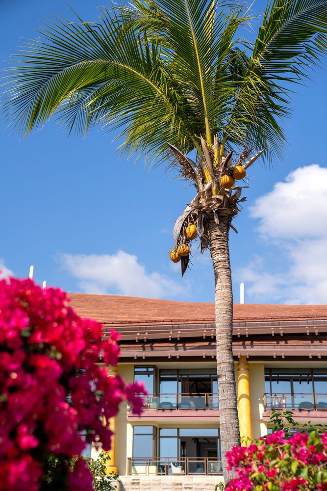 THE ST. REGIS SANYA YALONG BAY RESORT - 61