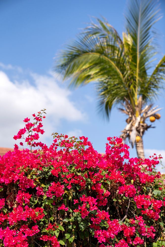 THE ST. REGIS SANYA YALONG BAY RESORT - 58